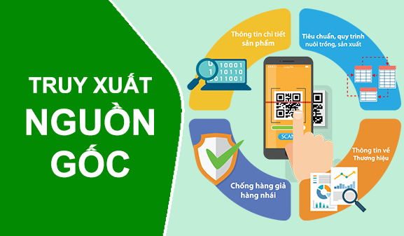 Gải pháp truy xuất nguồn gốc thông tin sản phẩm